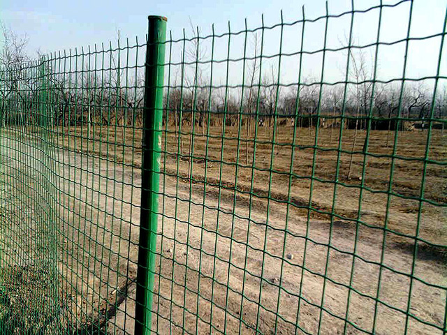 川森铁丝网怎么固定在不锈钢护栏上