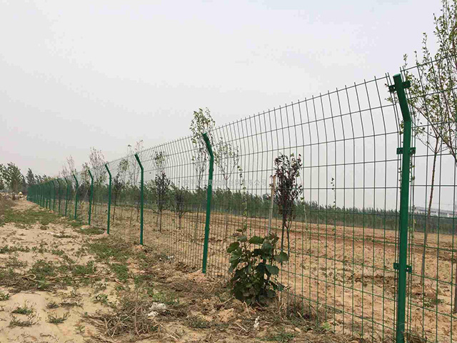 川森钢丝围栏网2米高价格