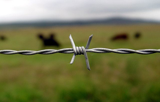 1 5米铁丝网围栏价格丝市场价格存在哪些弊端