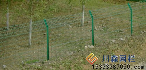 双边丝围栏网