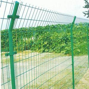 果园护栏网