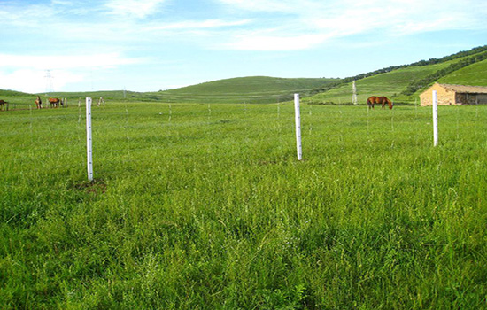 草原网围栏
