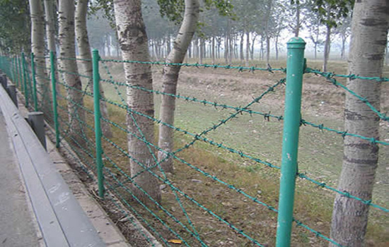 刺丝网围栏