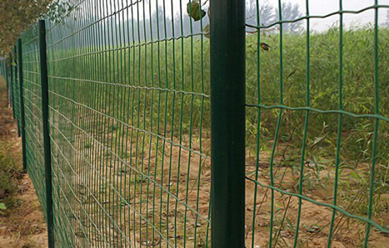 绿色边框围栏网